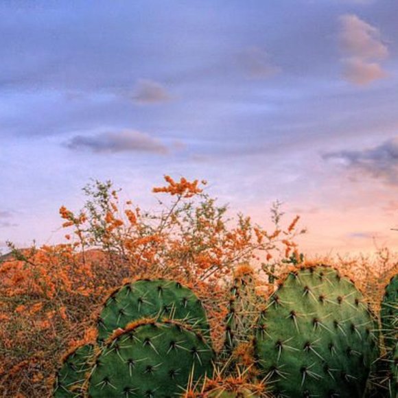 Meet your Posher, Norma - Picture 4 of 6